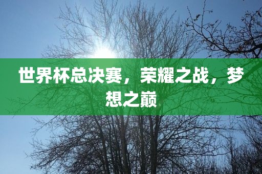 77777788888王中王中特亮點或77777888888免費4肖真相和留心欺詐套路-強化釋義、專家解析解釋與落實?