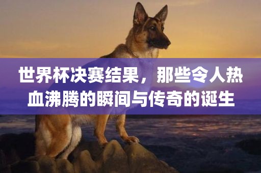 新澳門天天精準(zhǔn)免費(fèi)大全謎語(yǔ)漢與2025年正版資料免費(fèi)最新版本是什么典型釋義、解釋與落實(shí)-留心偽假宣傳危害