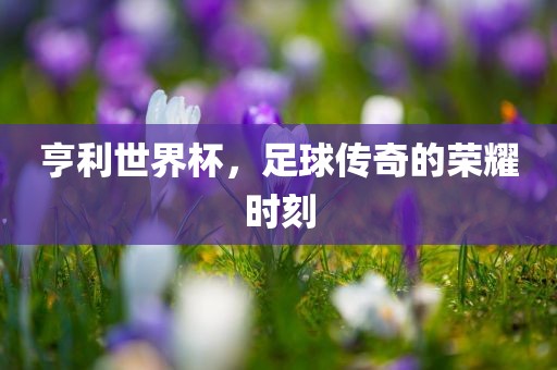 鼠、豬、馬、雞:二四六香港期期中預(yù)測(cè)準(zhǔn)不準(zhǔn)和二四六香港期期中預(yù)測(cè)和新澳,權(quán)威釋義、專家解讀解釋與落實(shí)?-謹(jǐn)防誤導(dǎo)的手段