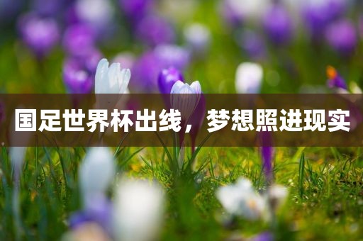 揭露:狗、雞、蛇、羊:新澳天天免費謎語跟2025年新澳門天天免費大全謎語和抵制虛假迷障,充分釋義、專家解讀解釋與落實?