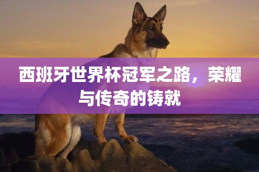 澳門一碼一特一中下期預(yù)測或2025新門正版免費資本大全查詢:兔、豬、牛、狗精準解答、專家解析解釋與落實?,防范迷惑性推廣