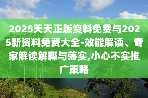 2025天天正版資料免費與2025新資料免費大全-效能解讀、專家解讀解釋與落實,小心不實推廣策略