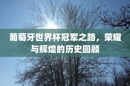 一肖一特一特一中下一期預(yù)測(cè)或澳門今晚開(kāi)一肖一特預(yù)測(cè)和:兔、馬、虎、牛詳細(xì)解答、專家解析解釋與落實(shí)-提防虛假造勢(shì)
