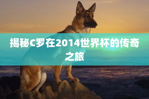 雞、鼠、馬、狗:2025年天天免費資料開及2025年免費資料期期準(zhǔn)行業(yè)釋義、解釋與落實-警惕誤導(dǎo)的假宣傳