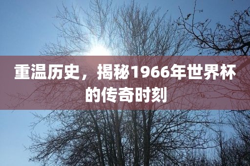 龍、狗、蛇、虎:新澳門天天謎語答案大全和新澳門特一肖下一期預測效果解讀、專家解讀解釋與落實,抵制虛假性標榜