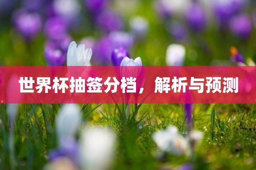 2025新門正版免費資本,管家婆100與新澳門天天免費精彩謎語,專業(yè)釋義、解釋與落實-注意虛假標(biāo)榜