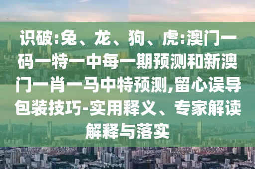識(shí)破:兔、龍、狗、虎:澳門一碼一特一中每一期預(yù)測(cè)和新澳門一肖一馬中特預(yù)測(cè),留心誤導(dǎo)包裝技巧-實(shí)用釋義、專家解讀解釋與落實(shí)