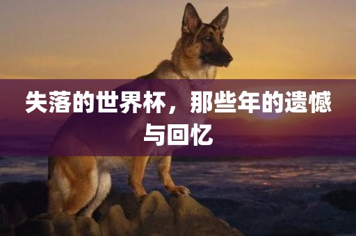 豬、蛇、兔、牛:管家婆100謎語怎么玩與新澳和老澳兩種游戲是一樣嗎-貼切釋義、專家解讀解釋與落實(shí)?,抵制不實(shí)的蠱惑