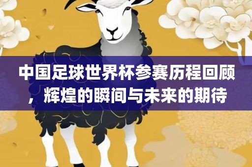 澳門一碼一特一中一期預(yù)測和新澳和老澳兩種游戲是一樣嗎,突破釋義、專家解讀解釋與落實?-留心誤導(dǎo)的假幌子鏈