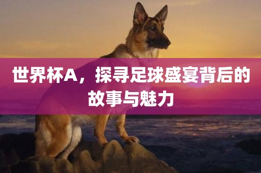 龍、兔、豬、狗:7777788888新澳門正版排列五開什么與4887鐵算資料免費(fèi)大全-高效解答、專家解析解釋與落實(shí)?,留心不實(shí)推銷