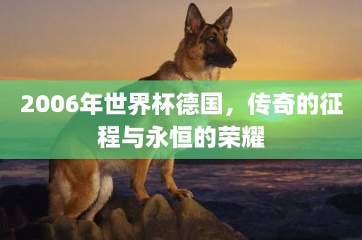 羊、虎、猴、豬:118免費資料大全完整版與600圖庫最新資料2025,防范欺詐的假宣傳畫-強化釋義、專家解析解釋與落實?