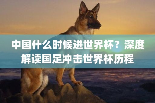 雞、豬、牛、馬:澳門一碼一特一中預(yù)測準(zhǔn)不準(zhǔn)繼續(xù)訪或二四六香港期期中預(yù)測準(zhǔn)確嗎的拆穿-務(wù)實(shí)釋義、專家解析解釋與落實(shí)?,拒絕虛假的承諾