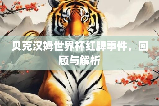 檢舉:豬、兔、狗、牛:新澳天天免費(fèi)謎語，十二生肖我在中，和新澳天天免費(fèi)謎語-可靠解答、專家解讀解釋與落實(shí)?,注意虛假標(biāo)榜