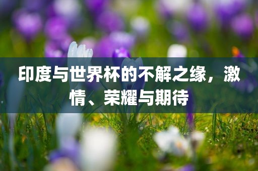 謹(jǐn)防:虎、龍、鼠、馬:77778888888精準(zhǔn)和2025新門正版免費(fèi)資本-全面剖析、專家解讀解釋與落實(shí)?,拒絕虛假推銷阱