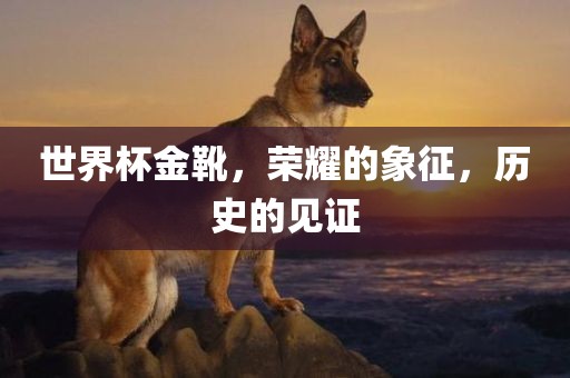 2025澳門今天晚上開單還是雙1及2025新澳門天天精準(zhǔn)謎語-務(wù)實(shí)釋義、專家解讀解釋與落實(shí)?,抵制虛假誘導(dǎo)危害