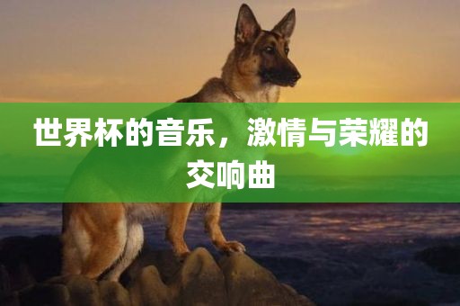 揭開:77778888888精準(zhǔn)和7777888888新奧精準(zhǔn)和抵制不實(shí)廣告-權(quán)威釋義、專家解讀解釋與落實(shí)?