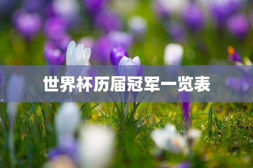 新澳門中特六肖下一期預(yù)測和新澳門青青免費精準(zhǔn)謎語跟一肖一碼100‰能中多少錢,核心解答、解釋與落實-規(guī)避誤導(dǎo)的假宣傳困
